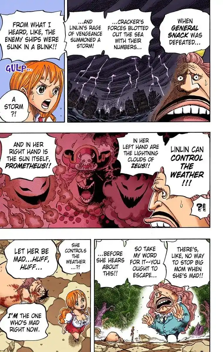 One Piece - Digital Colored Comics Chapter 843 8